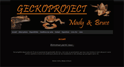 Desktop Screenshot of geckoproject.fr
